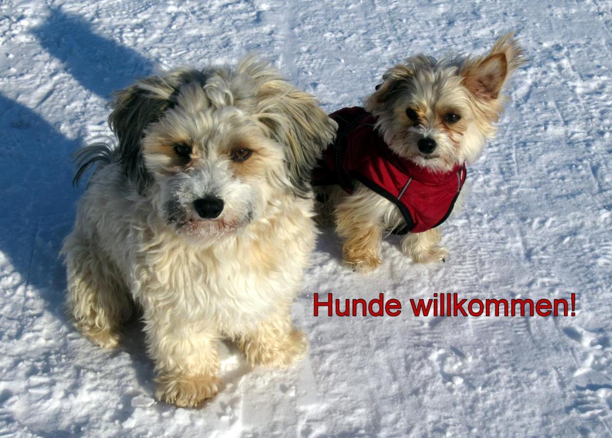 Fewo C4 für bis zu 5 Personen Menzenschwand-Hinterdorf Exterior foto