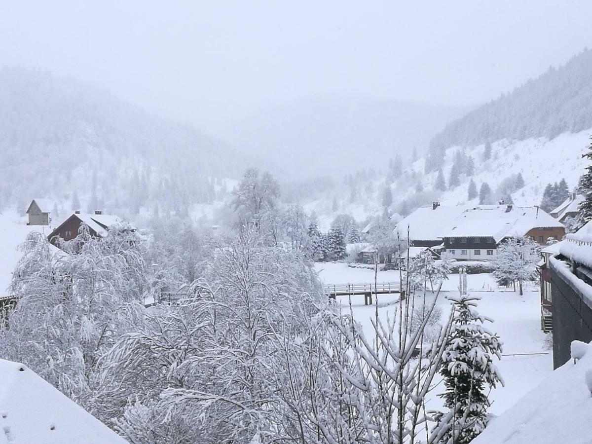 Fewo C4 für bis zu 5 Personen Menzenschwand-Hinterdorf Exterior foto