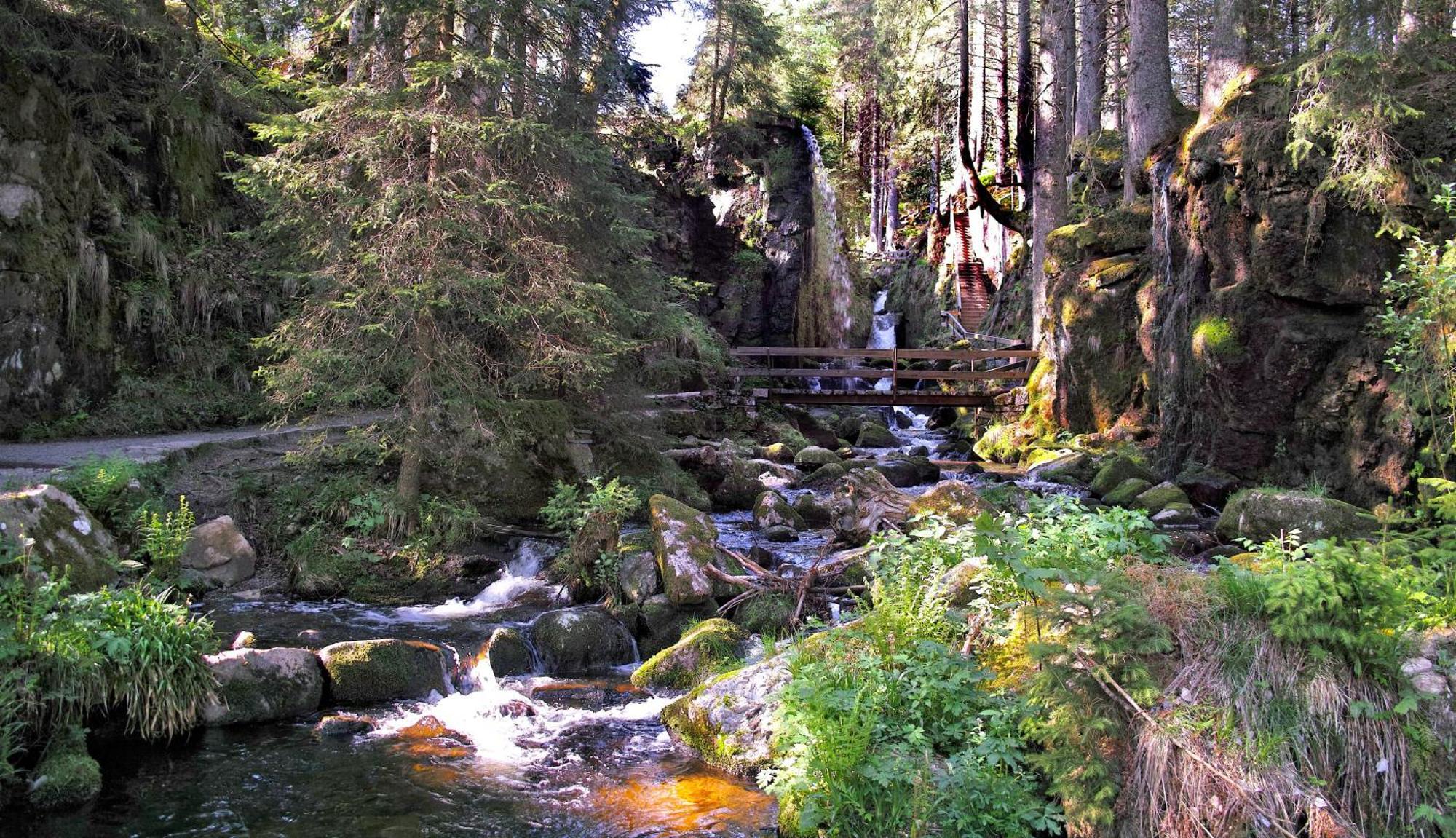 Fewo C4 für bis zu 5 Personen Menzenschwand-Hinterdorf Exterior foto